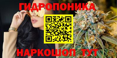 хмурый Краснодар
