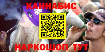 индика Краснознаменск