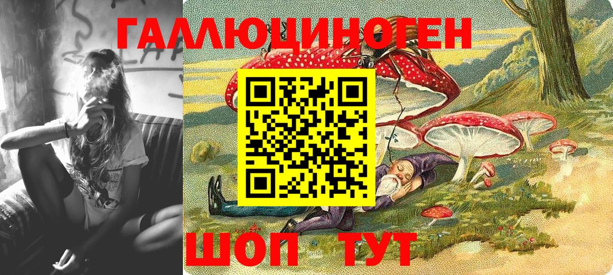 Псилоцибиновые грибы Psilocybine cubensis Бирск