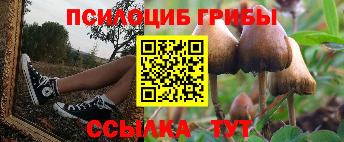 Галлюциногенные грибы Magic Shrooms  Вход с VPN  Бирск  Галлюциногенные грибы ЛСД 